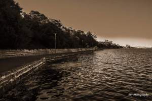 Griffin-Gully_Nroth-Shore_sepia_8762